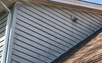 How Often Should My Roof Be Cleaned During Fall and Winter?