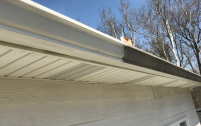 What Are The Best Gutter Cleaning Hacks?