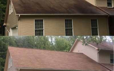 Top-Tier Roof Cleaning in Evansville, IN with Cloud 9 Window Cleaning & Pressure Washing