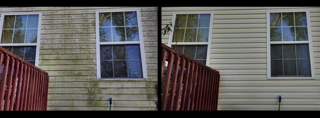 Why Professional Window Cleaning Helps Protect Your Home Investment