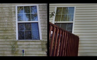 Why Professional Window Cleaning Helps Protect Your Home Investment